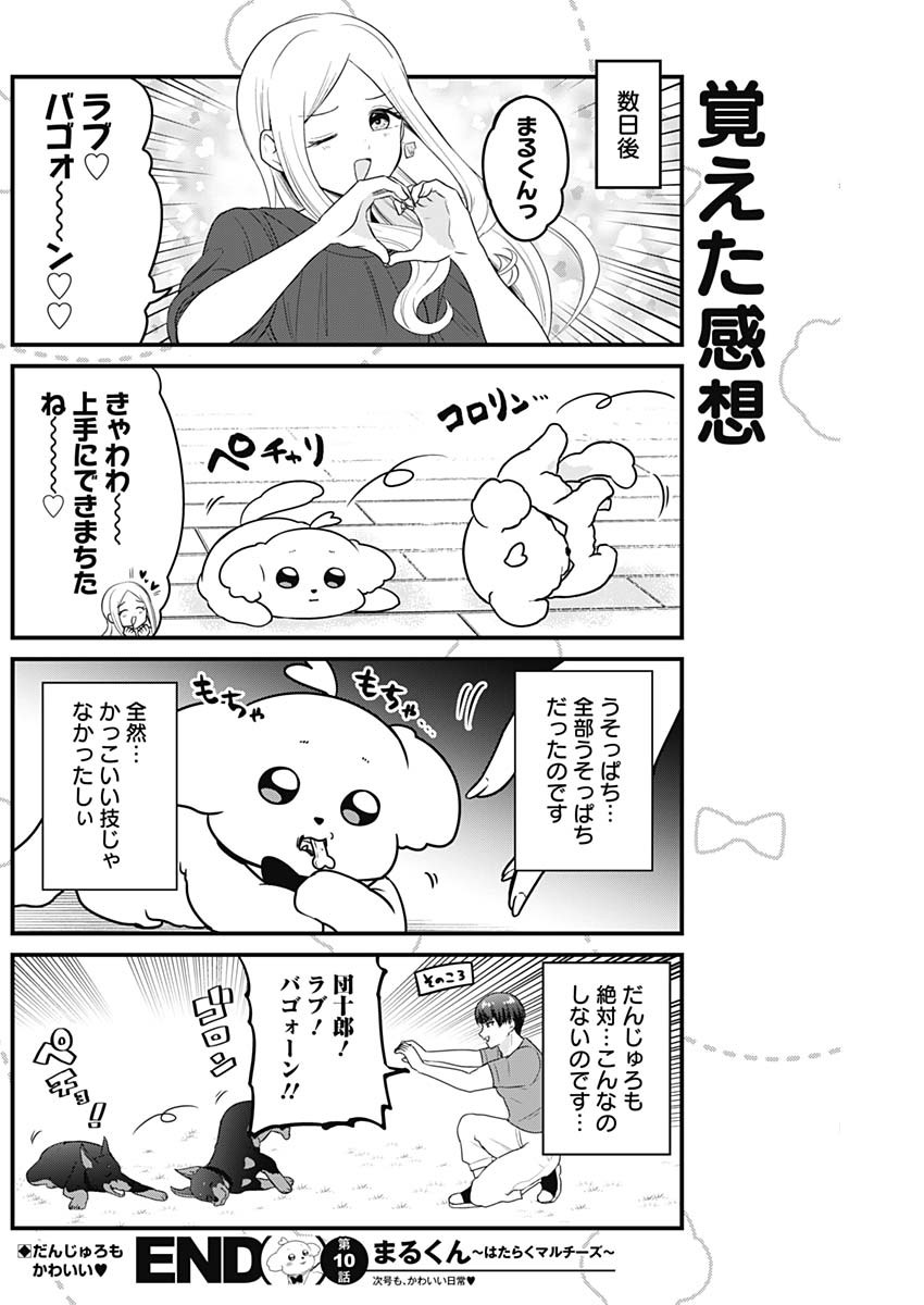 Maru-kun - Hataraku Maltese Chapter 10 8ページ