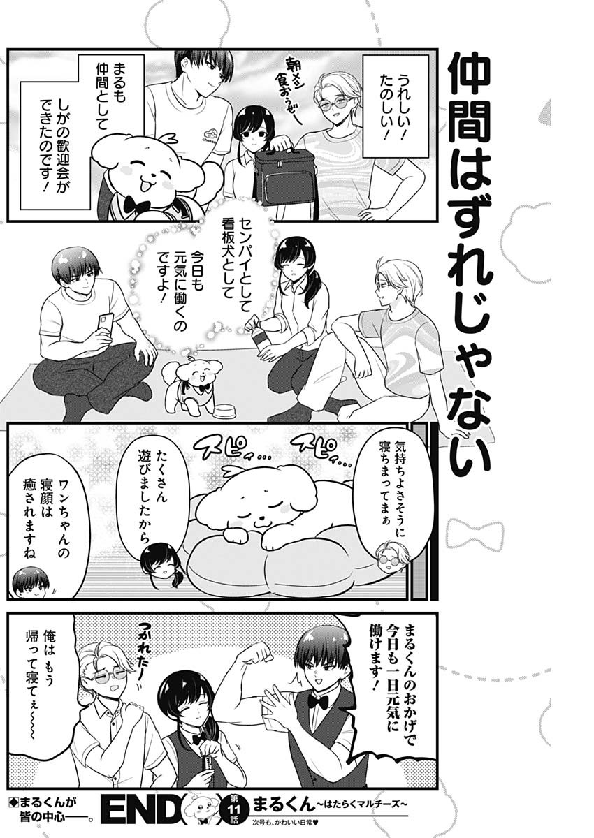 Maru-kun - Hataraku Maltese Chapter 11 8ページ