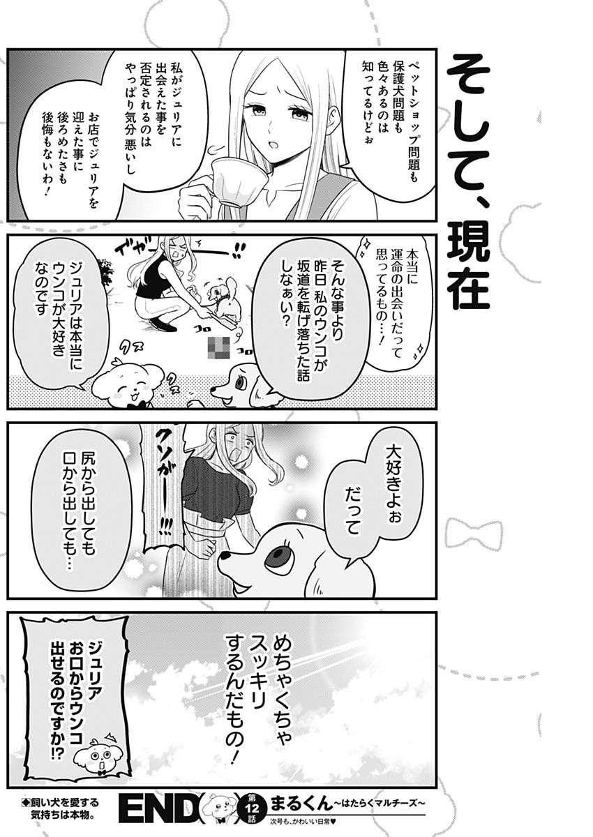Maru-kun - Hataraku Maltese Chapter 12 8ページ