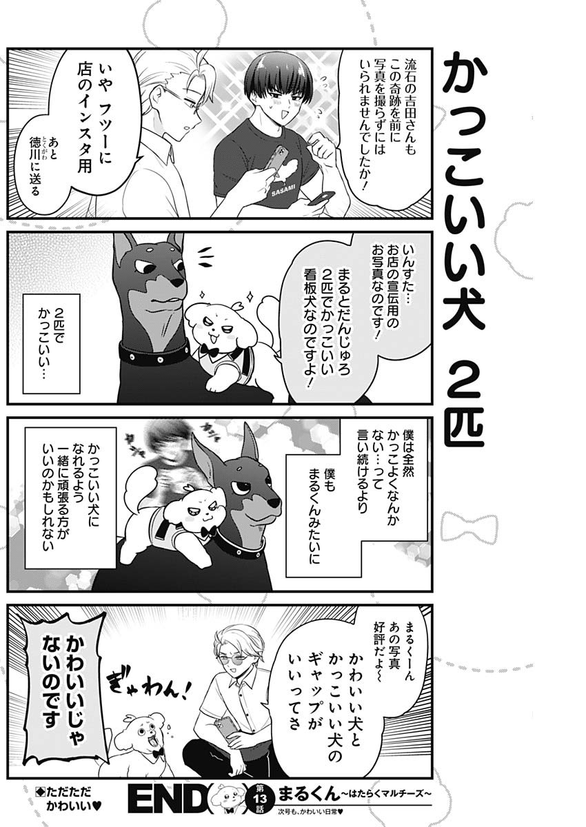 Maru-kun - Hataraku Maltese Chapter 13 8ページ