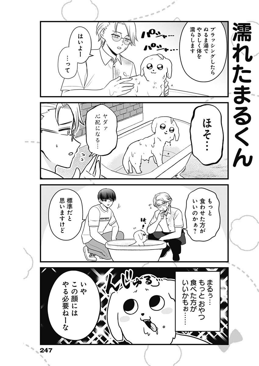 Maru-kun - Hataraku Maltese Chapter 20 5ページ