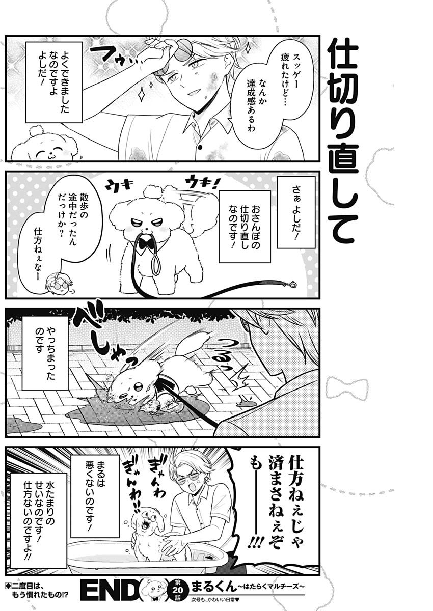 Maru-kun - Hataraku Maltese Chapter 20 8ページ
