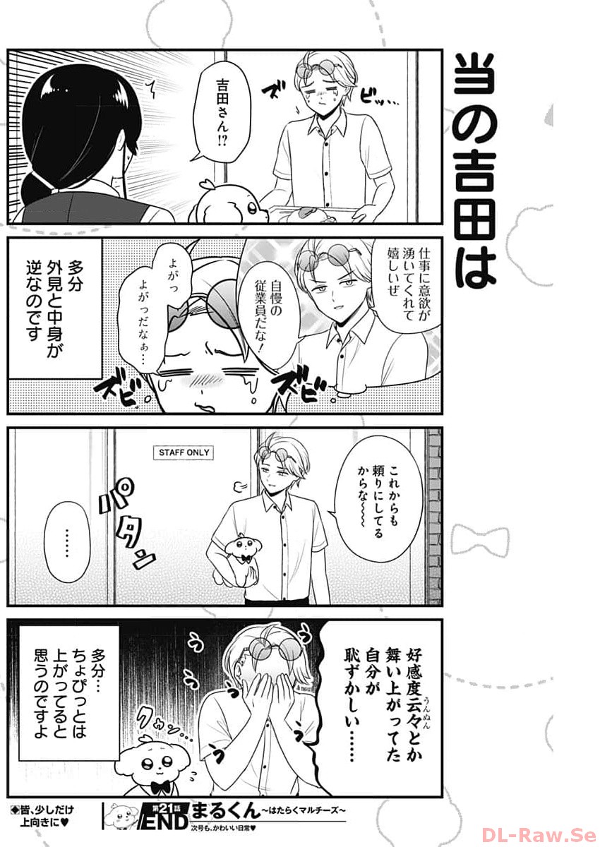 Maru-kun - Hataraku Maltese Chapter 21 8ページ