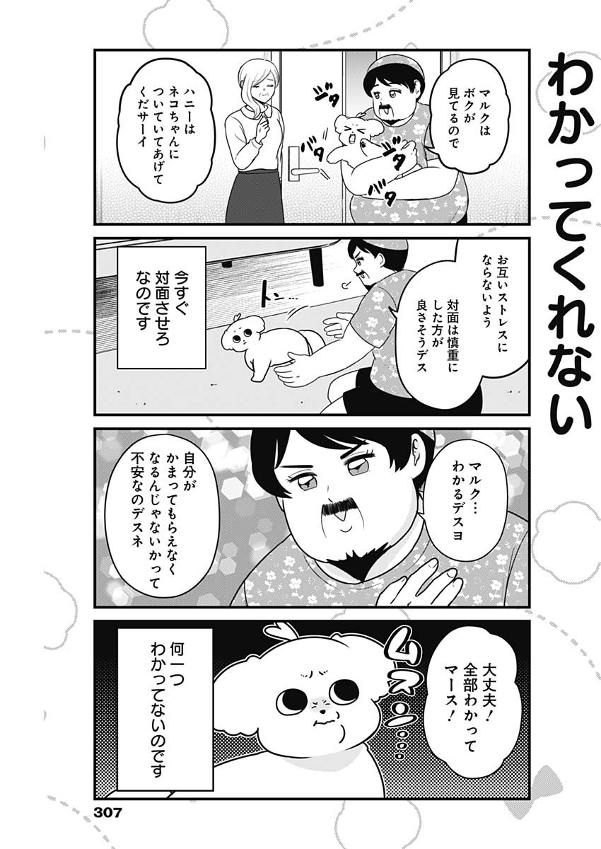 Maru-kun - Hataraku Maltese Chapter 27 3ページ
