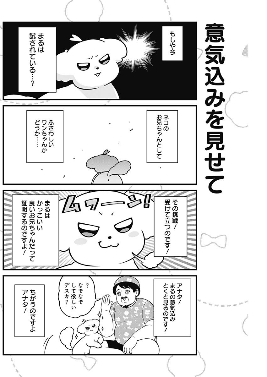Maru-kun - Hataraku Maltese Chapter 27 4ページ