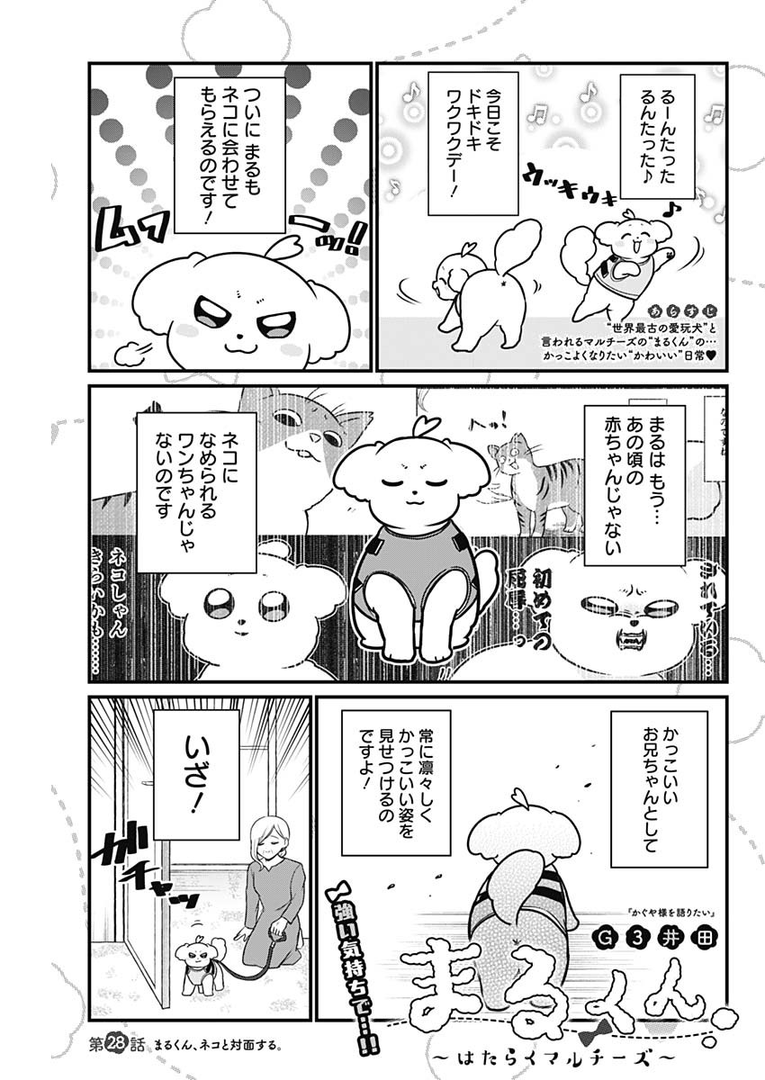 Maru-kun - Hataraku Maltese Chapter 28 1ページ