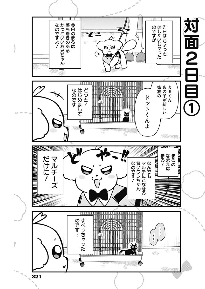 Maru-kun - Hataraku Maltese Chapter 28 3ページ