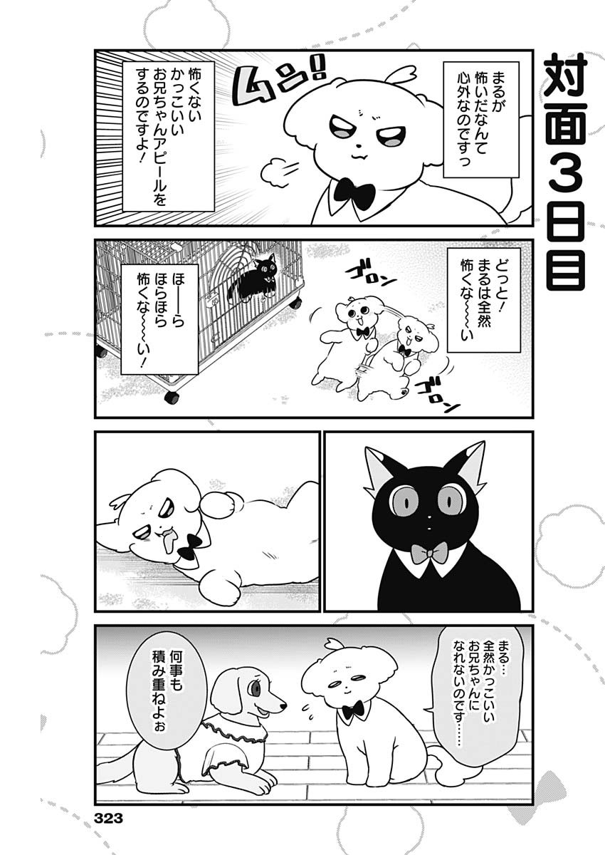 Maru-kun - Hataraku Maltese Chapter 28 5ページ