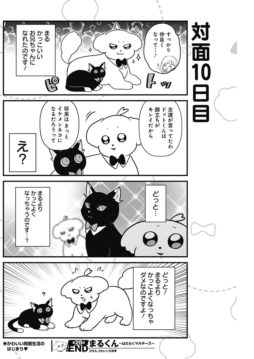 Maru-kun - Hataraku Maltese Chapter 28 8ページ