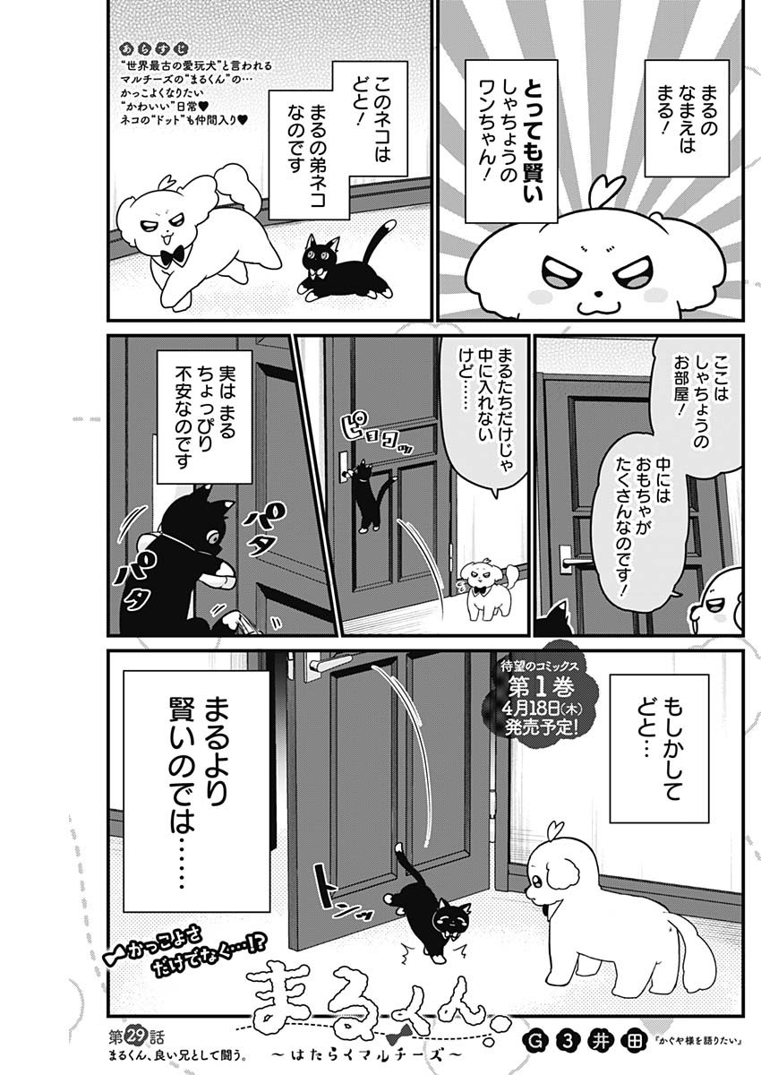 Maru-kun - Hataraku Maltese Chapter 29 1ページ