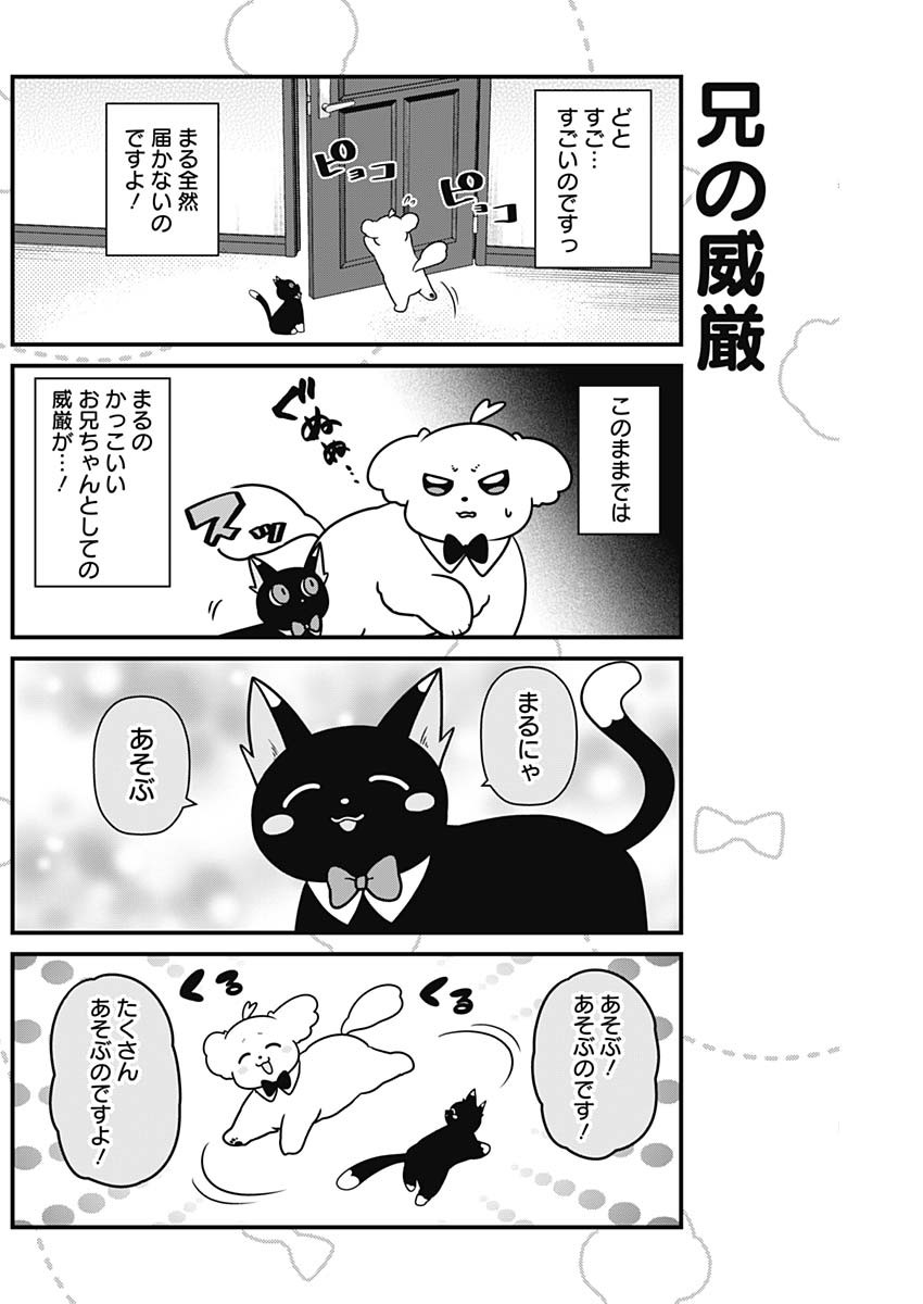 Maru-kun - Hataraku Maltese Chapter 29 2ページ