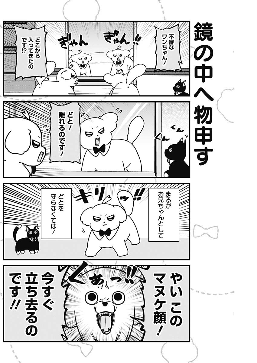 Maru-kun - Hataraku Maltese Chapter 29 4ページ