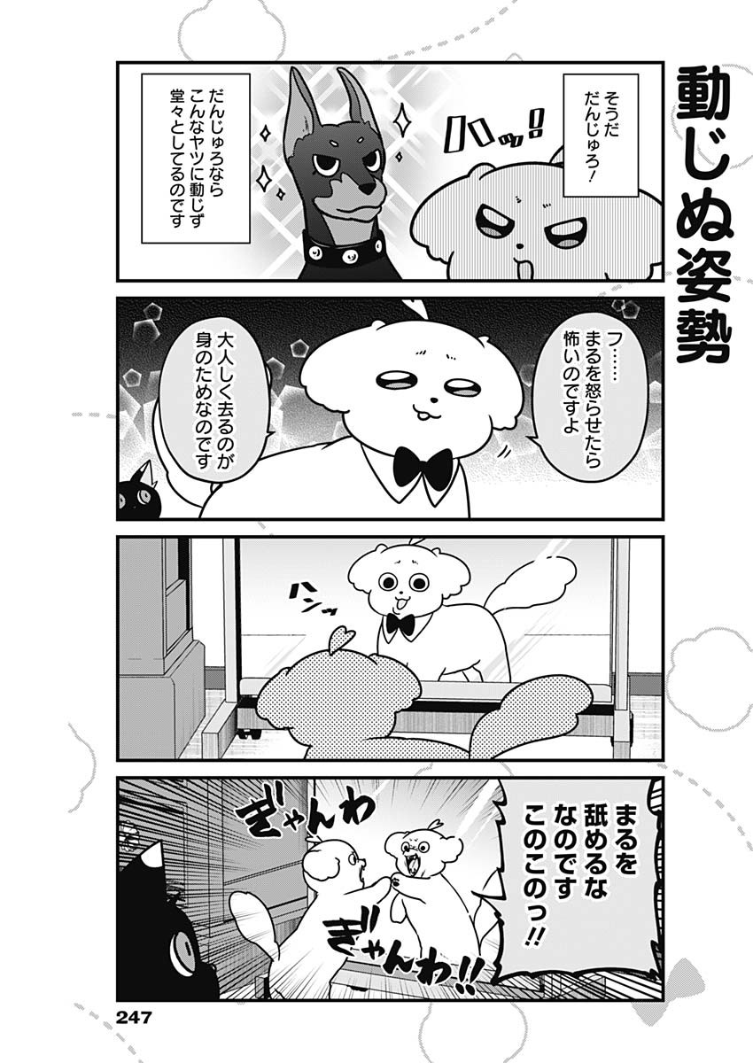 Maru-kun - Hataraku Maltese Chapter 29 5ページ