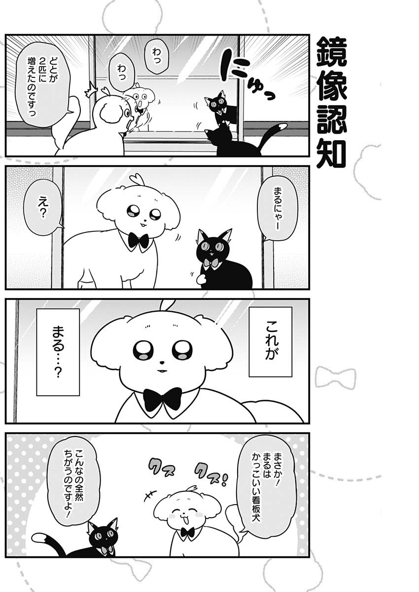 Maru-kun - Hataraku Maltese Chapter 29 6ページ