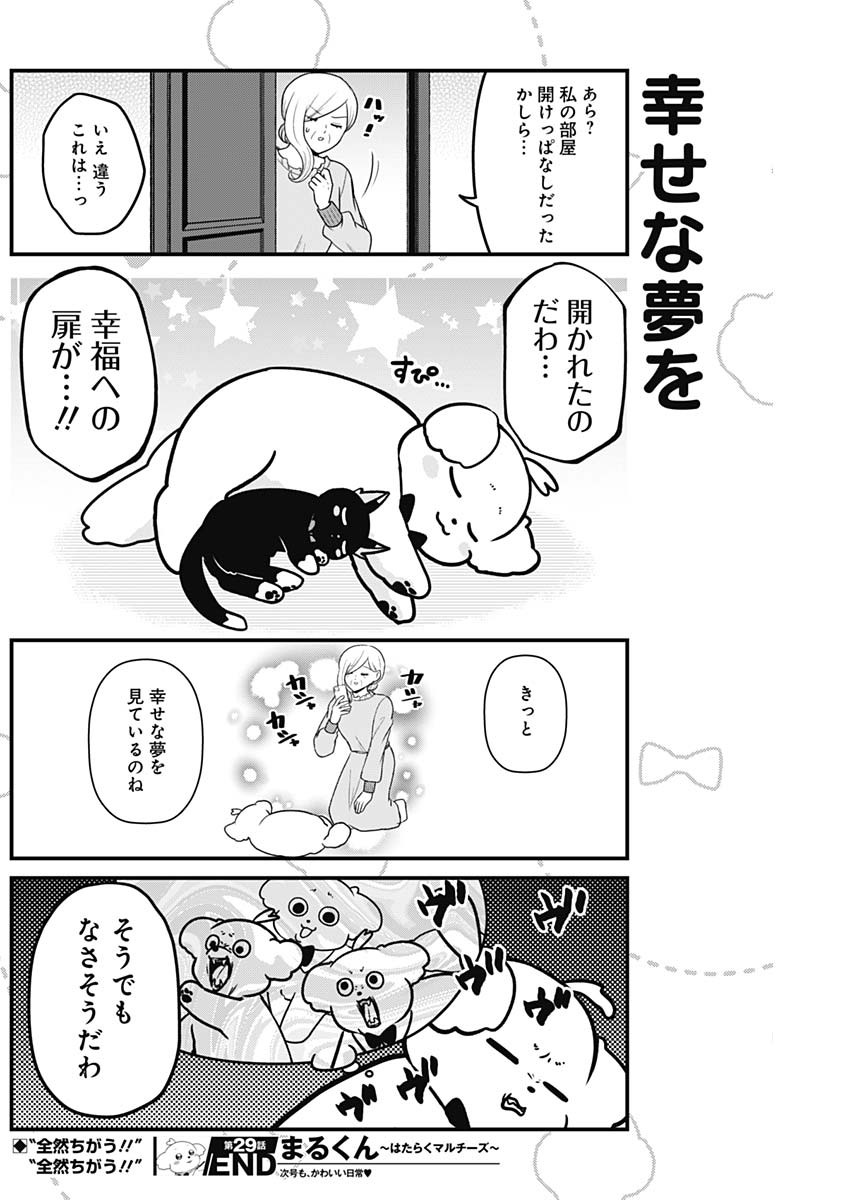 Maru-kun - Hataraku Maltese Chapter 29 8ページ