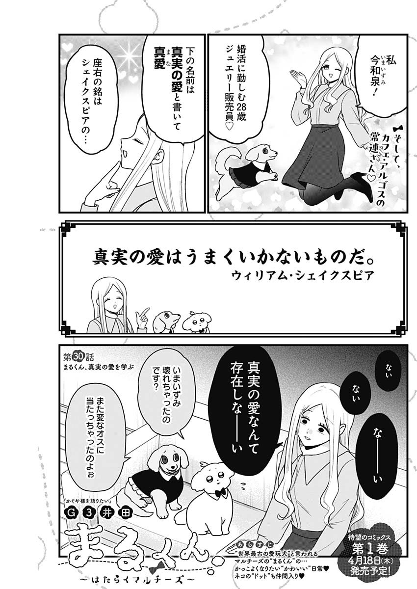 Maru-kun - Hataraku Maltese Chapter 30 1ページ