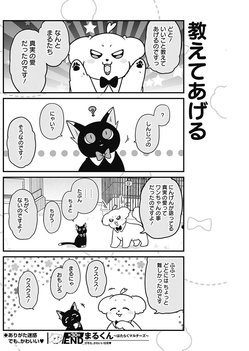 Maru-kun - Hataraku Maltese Chapter 30 8ページ