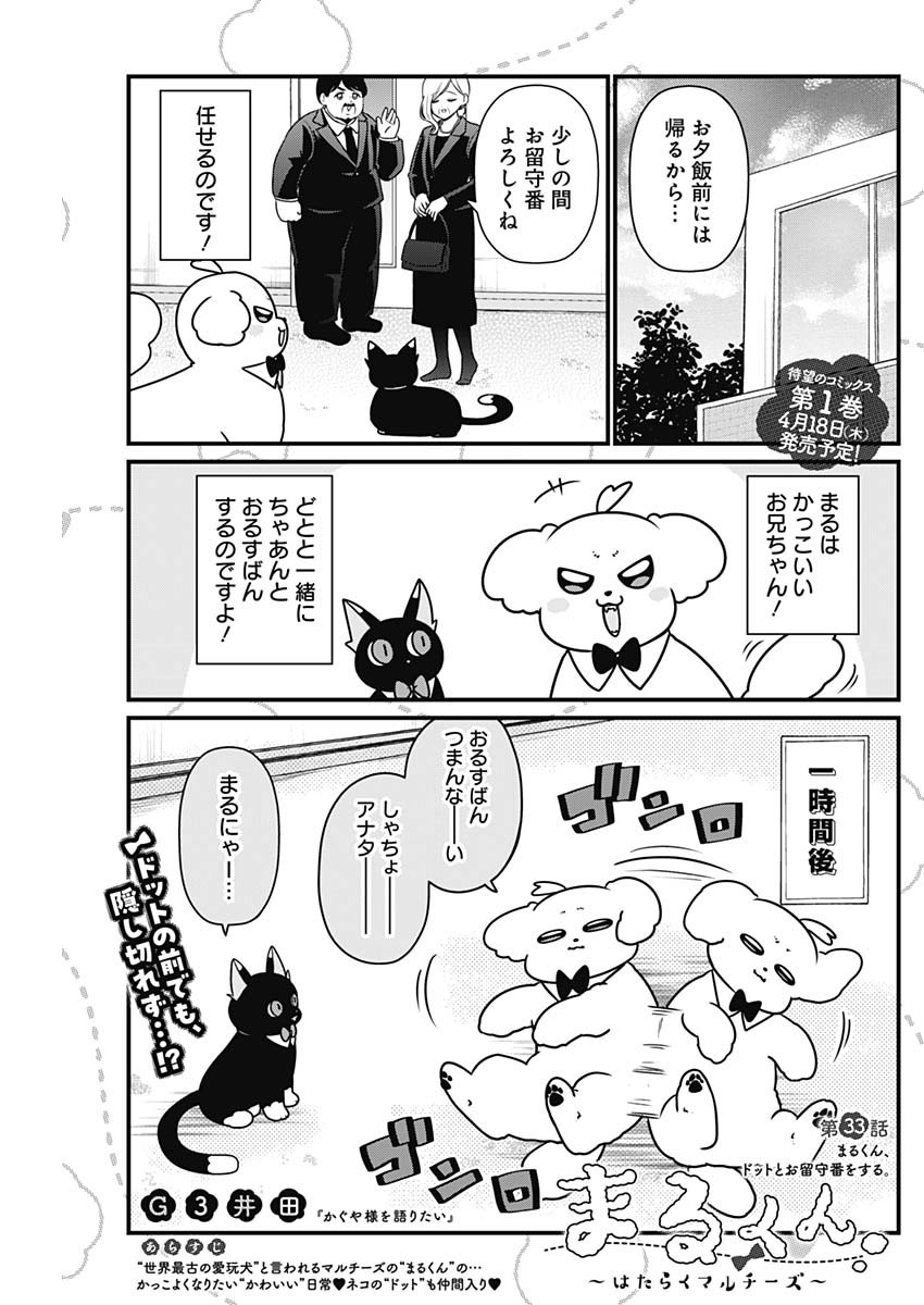 Maru-kun - Hataraku Maltese Chapter 33 1ページ