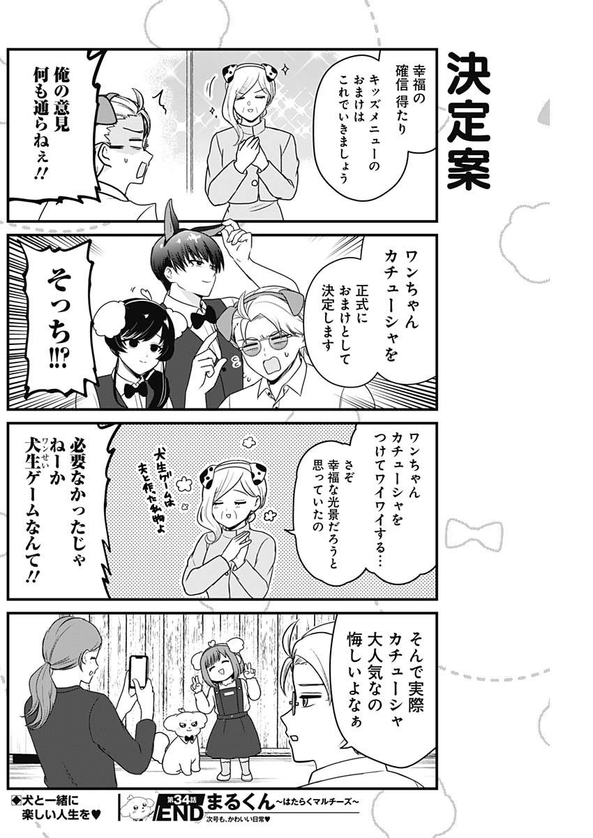 Maru-kun - Hataraku Maltese Chapter 34 8ページ