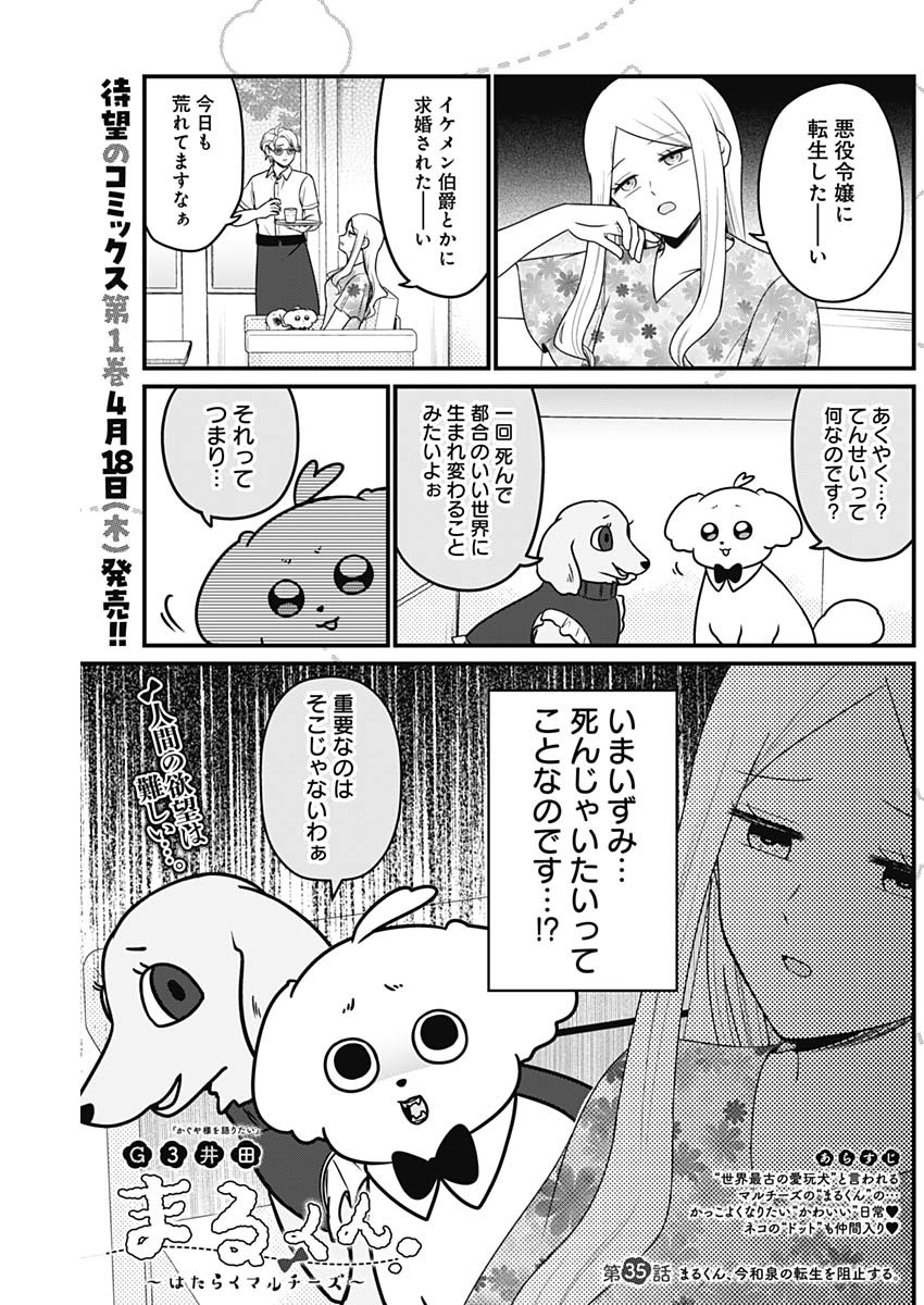 Maru-kun - Hataraku Maltese Chapter 35 1ページ