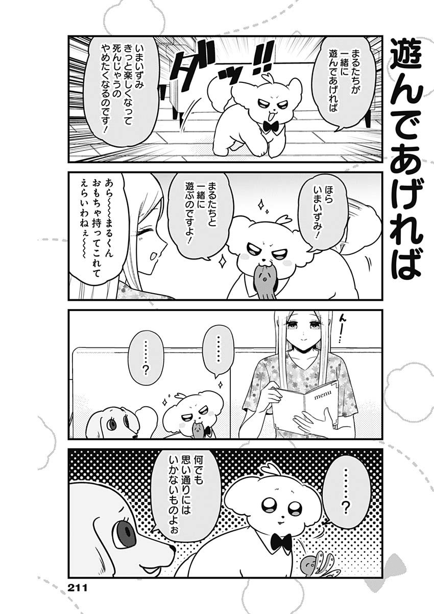 Maru-kun - Hataraku Maltese Chapter 35 3ページ