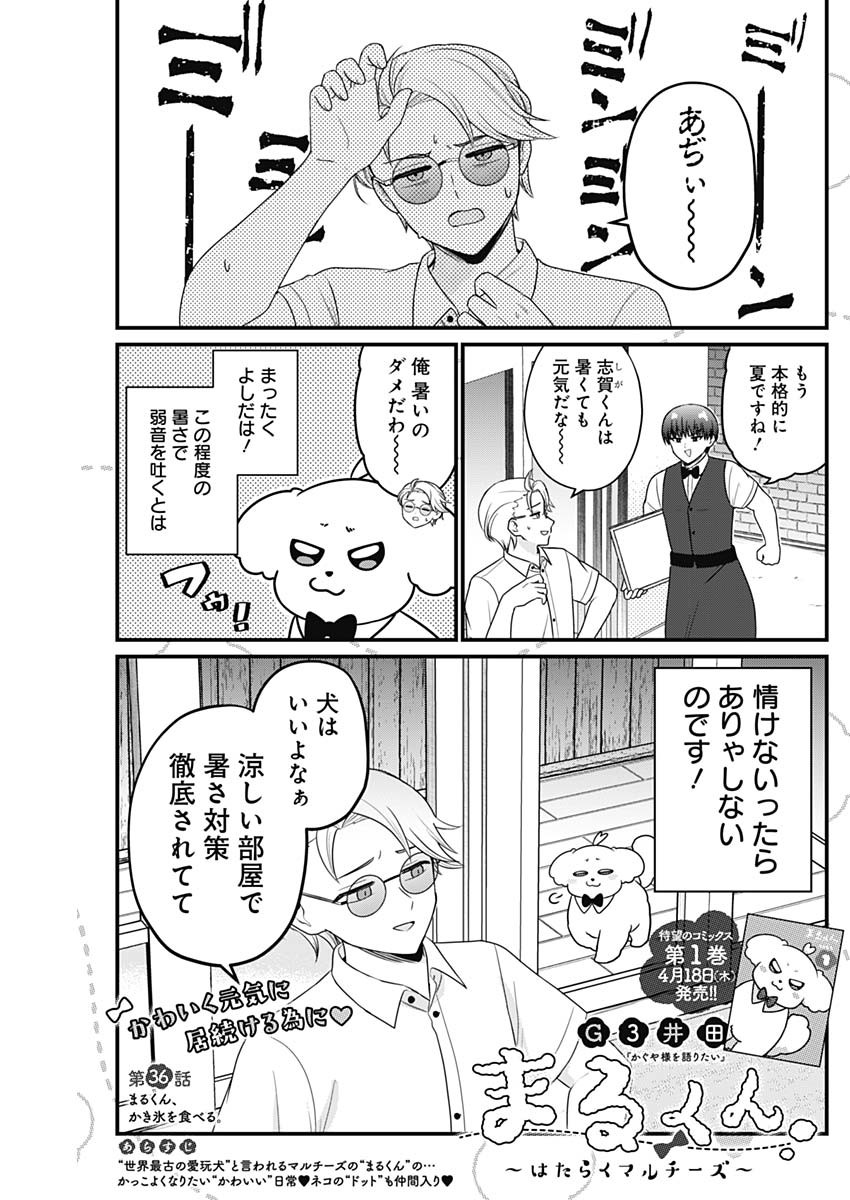 Maru-kun - Hataraku Maltese Chapter 36 1ページ