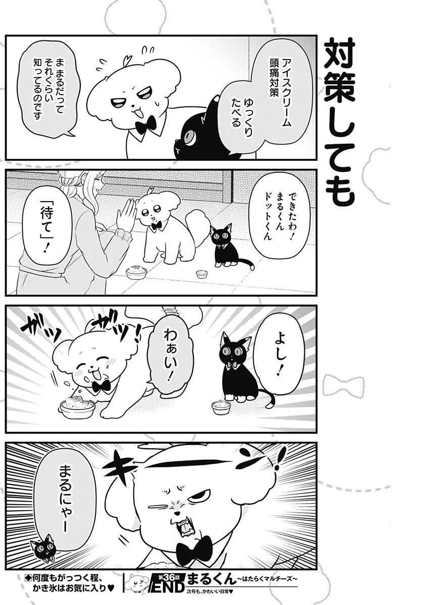 Maru-kun - Hataraku Maltese Chapter 36 8ページ