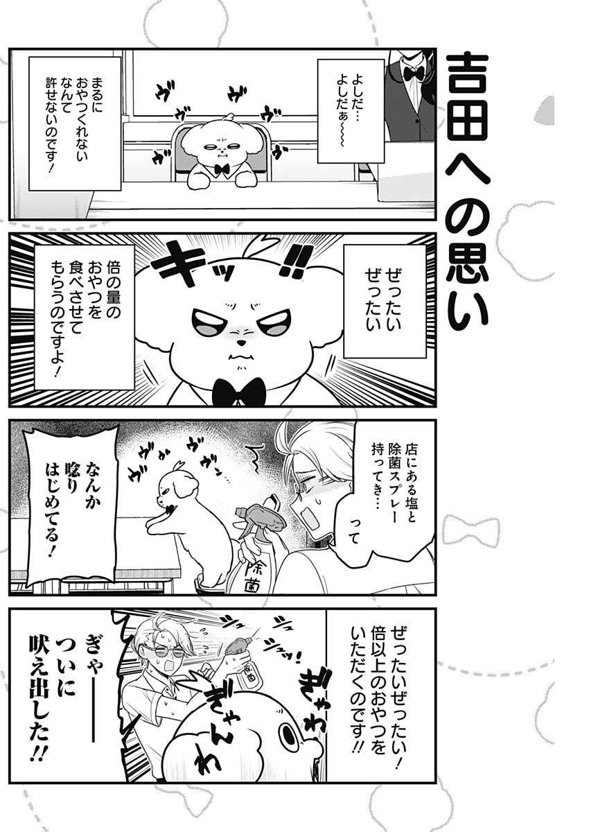 Maru-kun - Hataraku Maltese Chapter 37 5ページ