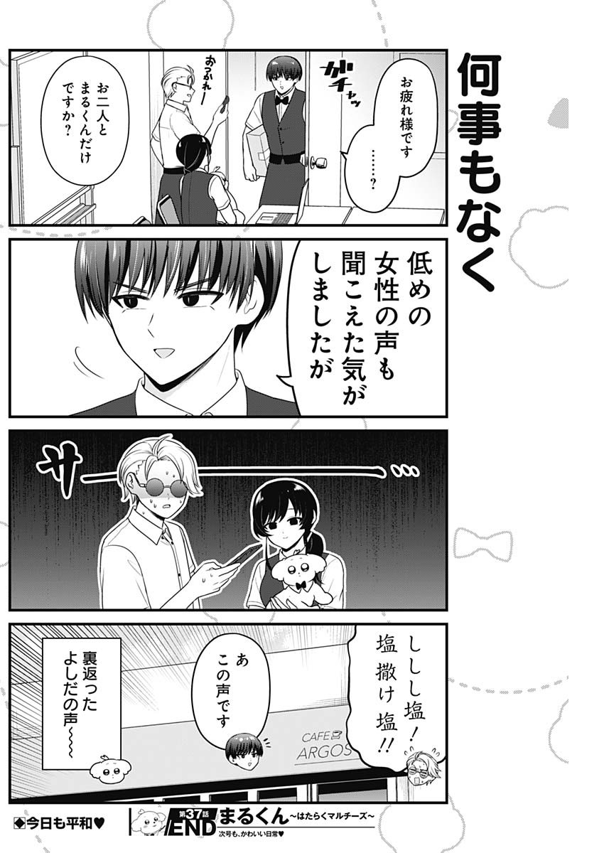 Maru-kun - Hataraku Maltese Chapter 37 9ページ