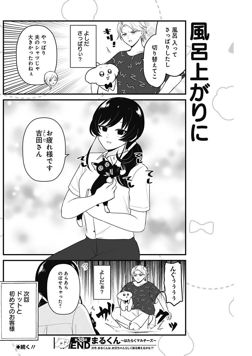 Maru-kun - Hataraku Maltese Chapter 38 8ページ