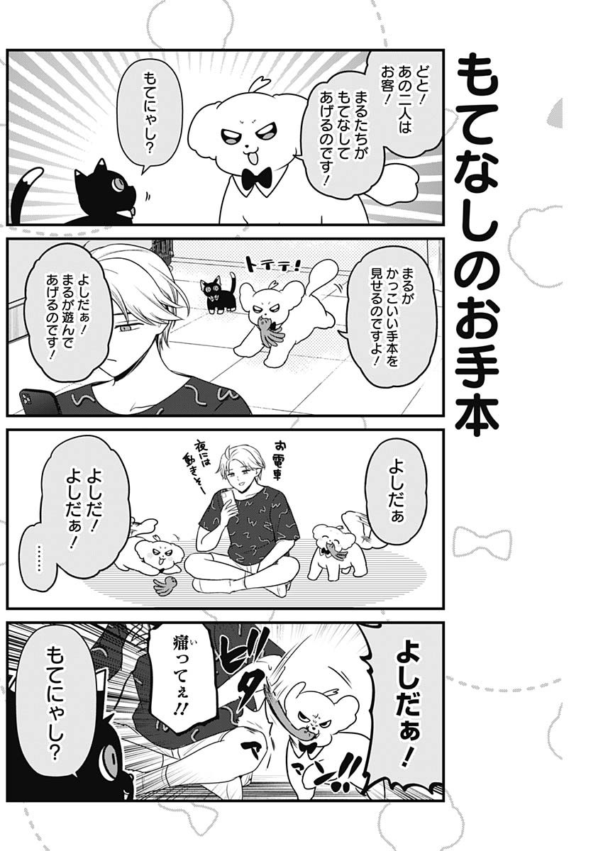 Maru-kun - Hataraku Maltese Chapter 39 4ページ