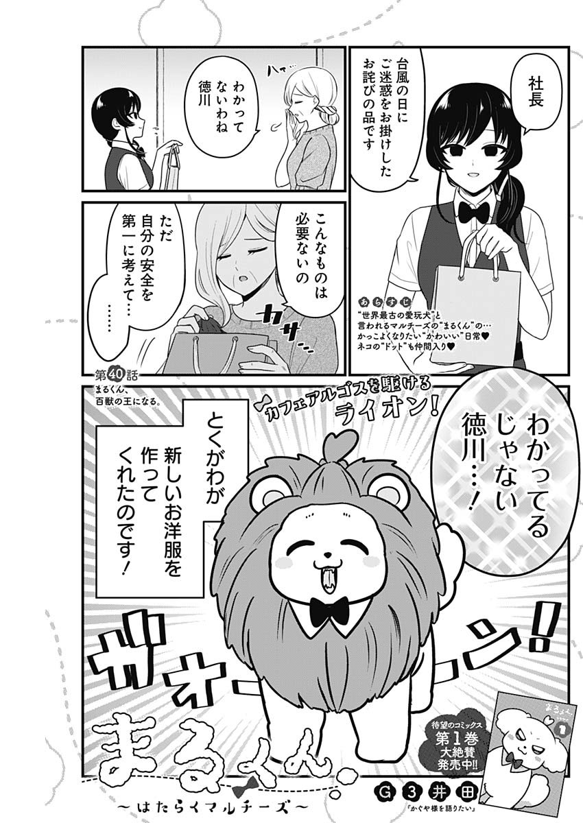 Maru-kun - Hataraku Maltese Chapter 40 1ページ