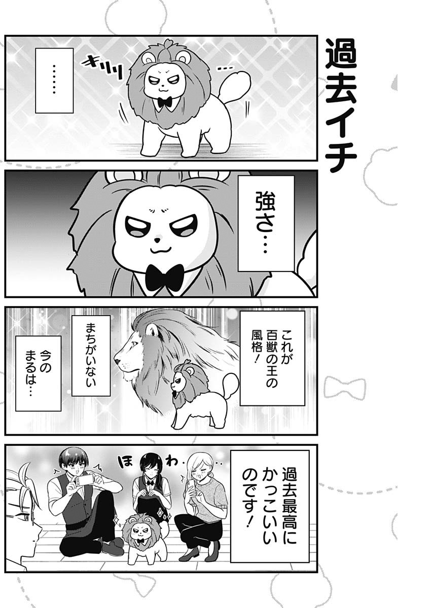 Maru-kun - Hataraku Maltese Chapter 40 2ページ