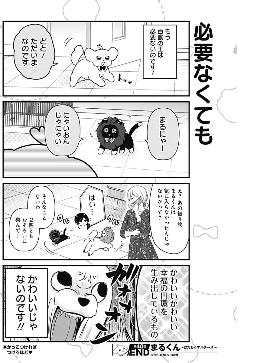 Maru-kun - Hataraku Maltese Chapter 40 8ページ