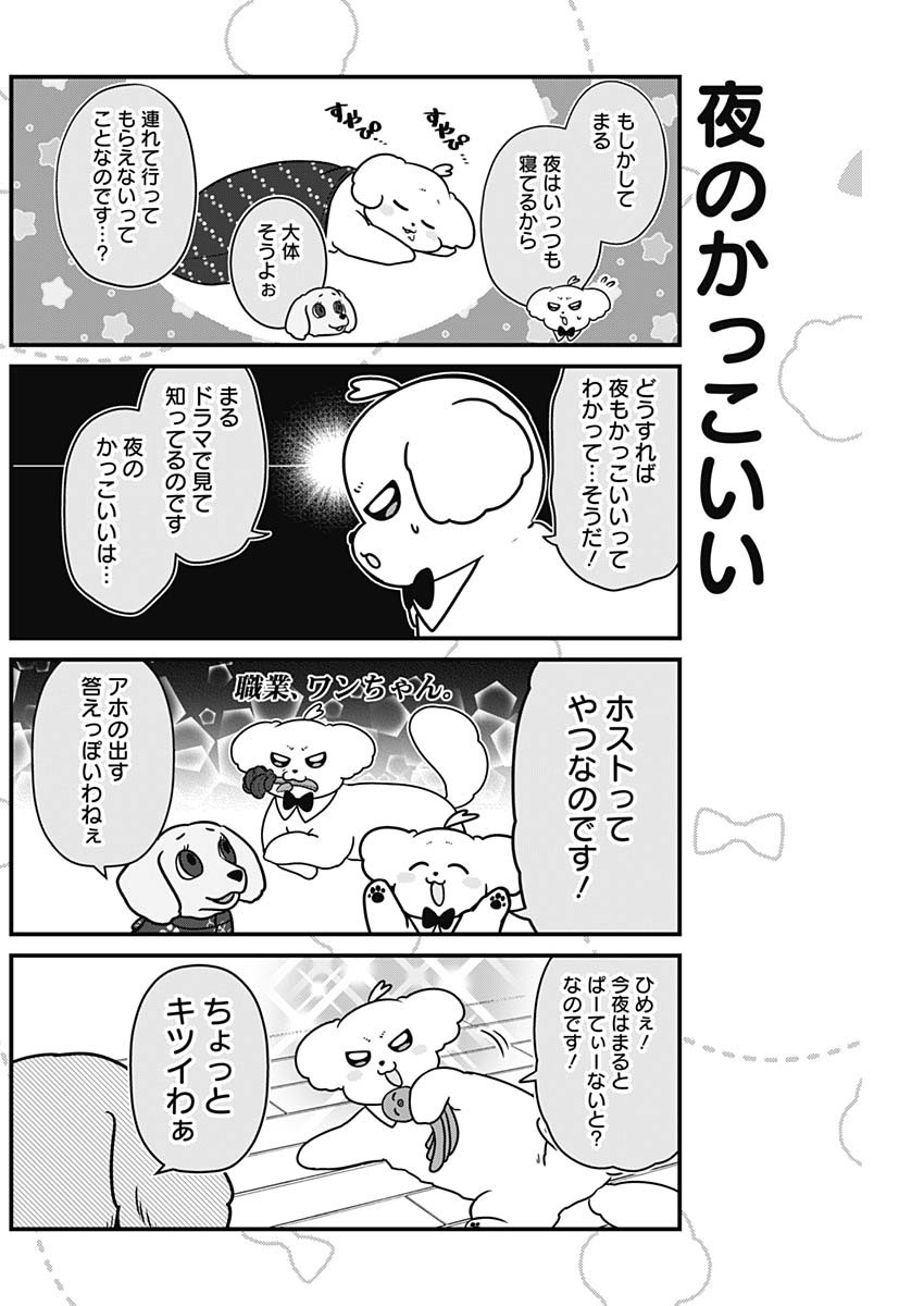 Maru-kun - Hataraku Maltese Chapter 41 4ページ