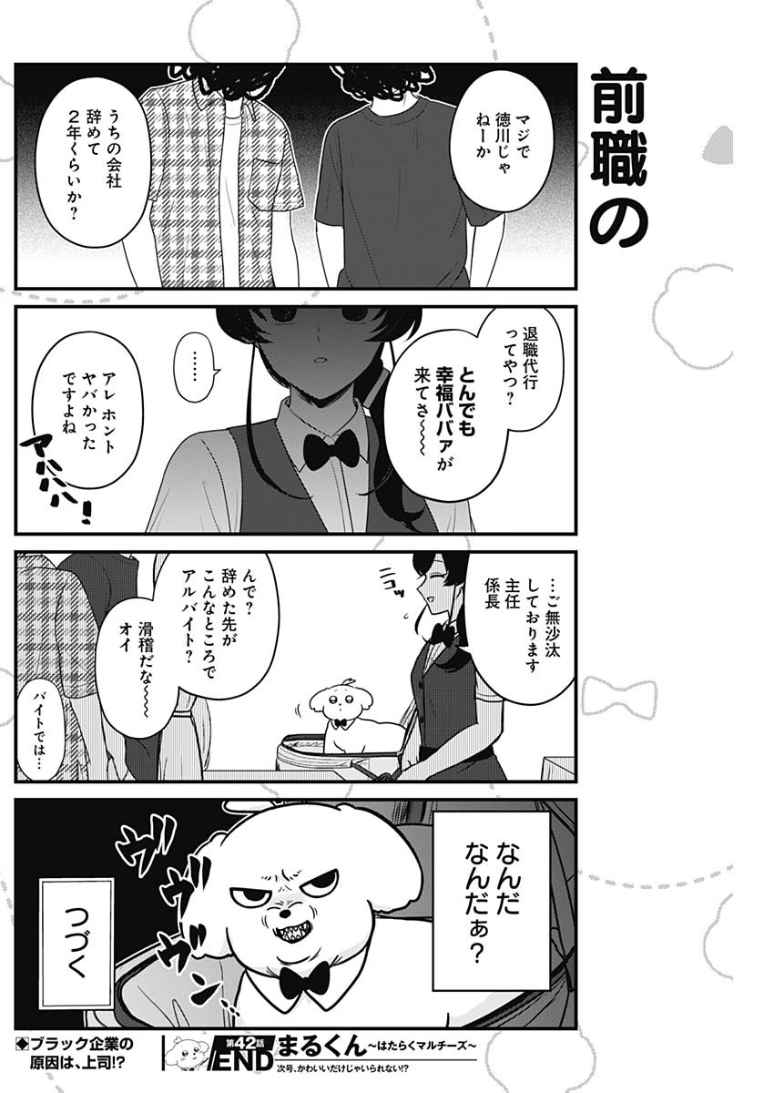 Maru-kun - Hataraku Maltese Chapter 42 8ページ