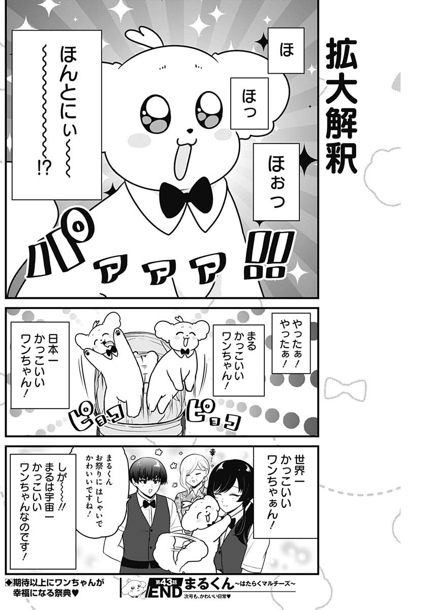Maru-kun - Hataraku Maltese Chapter 43 8ページ