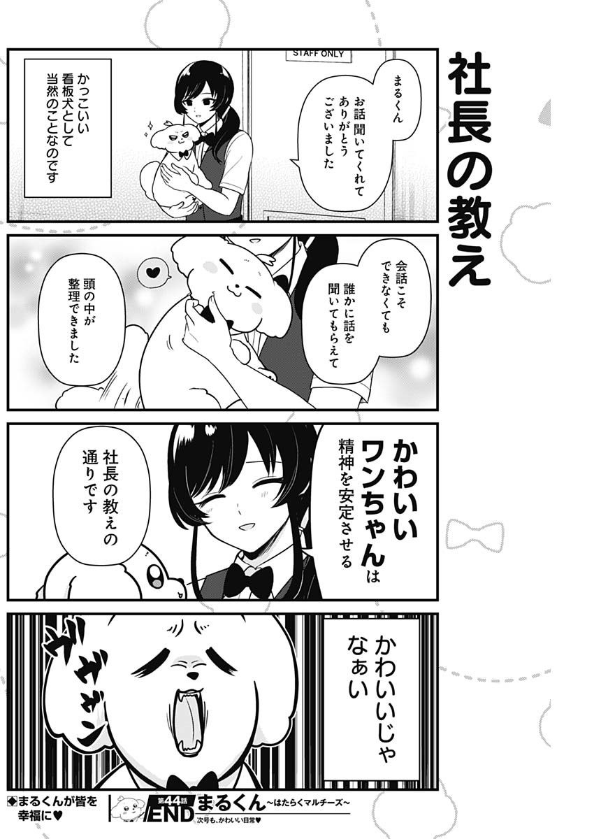 Maru-kun - Hataraku Maltese Chapter 44 8ページ