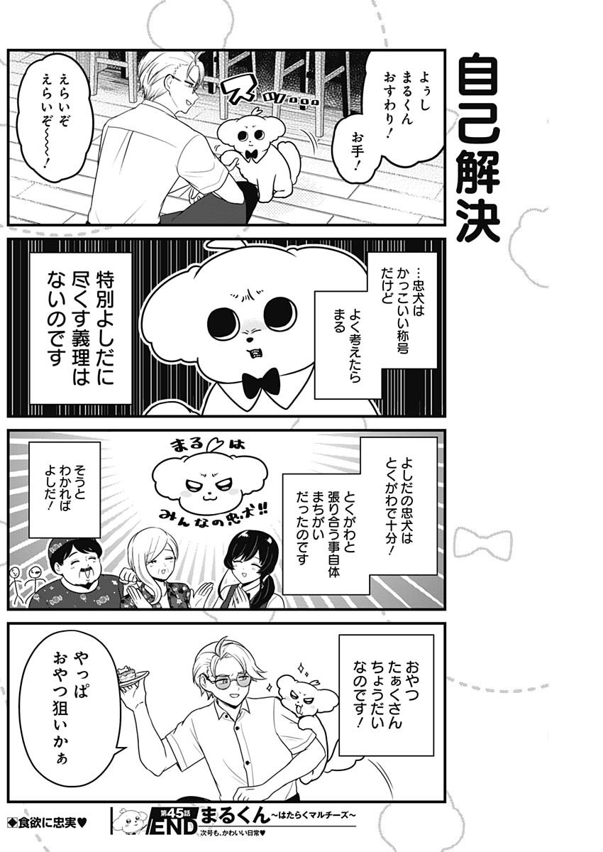 Maru-kun - Hataraku Maltese Chapter 45 8ページ