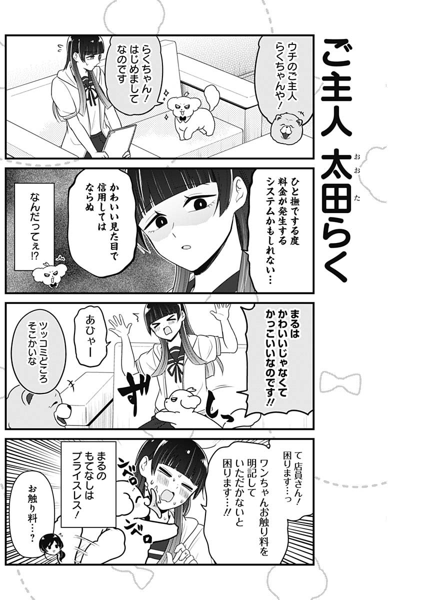 Maru-kun - Hataraku Maltese Chapter 46 6ページ