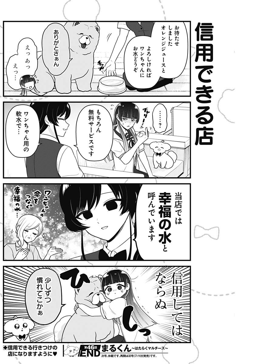 Maru-kun - Hataraku Maltese Chapter 46 8ページ
