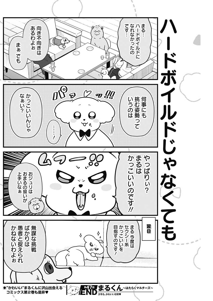 Maru-kun - Hataraku Maltese Chapter 47 9ページ