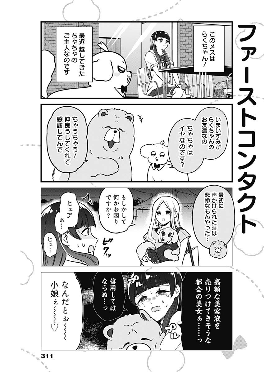 Maru-kun - Hataraku Maltese Chapter 48 3ページ