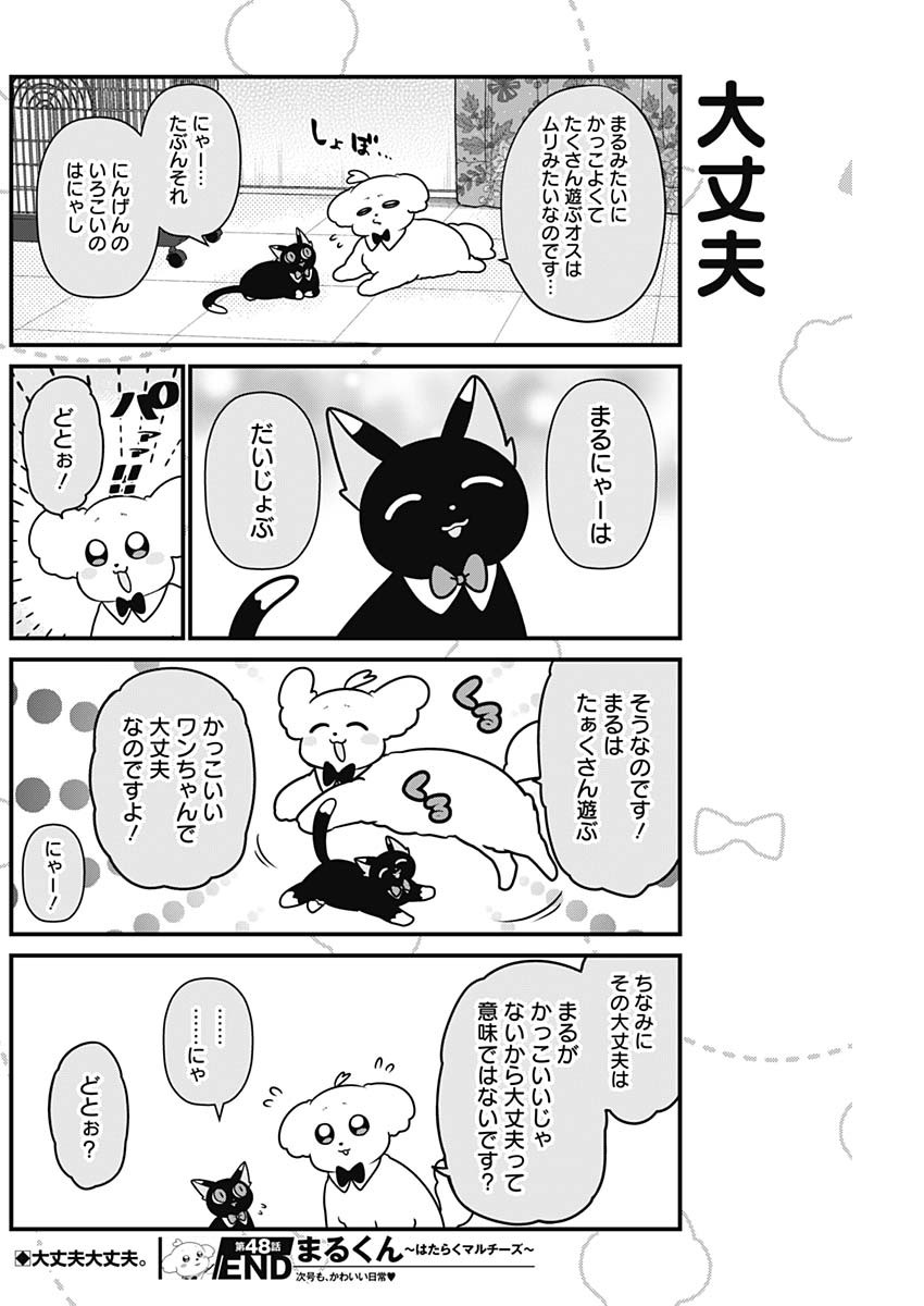 Maru-kun - Hataraku Maltese Chapter 48 8ページ