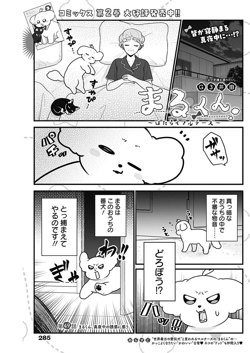 Maru-kun - Hataraku Maltese Chapter 49 1ページ