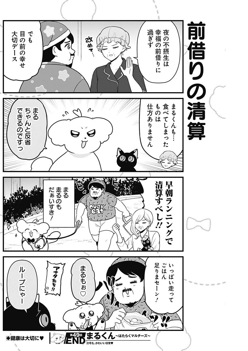 Maru-kun - Hataraku Maltese Chapter 49 8ページ