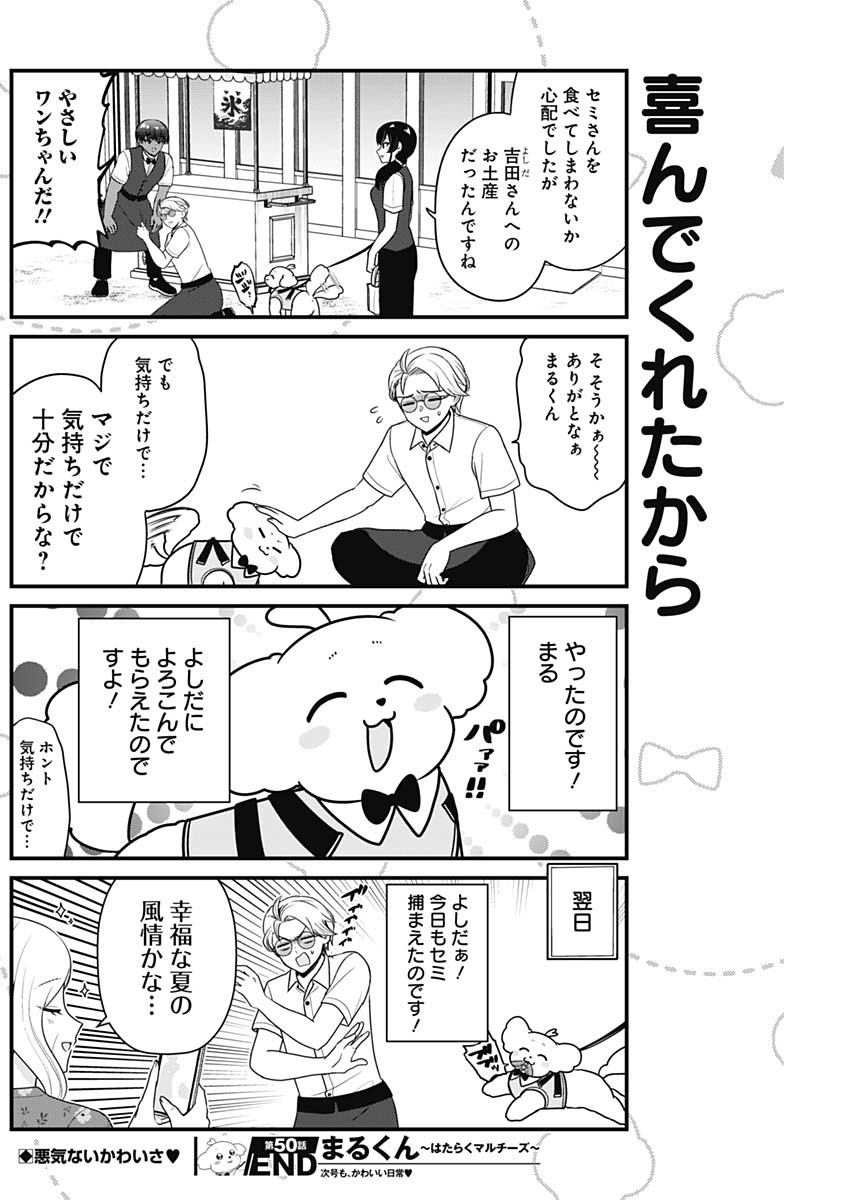 Maru-kun - Hataraku Maltese Chapter 50 8ページ