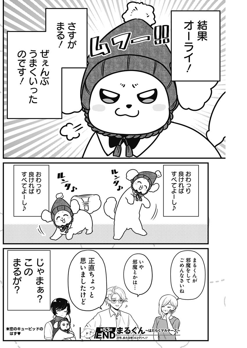 Maru-kun - Hataraku Maltese Chapter 53 8ページ
