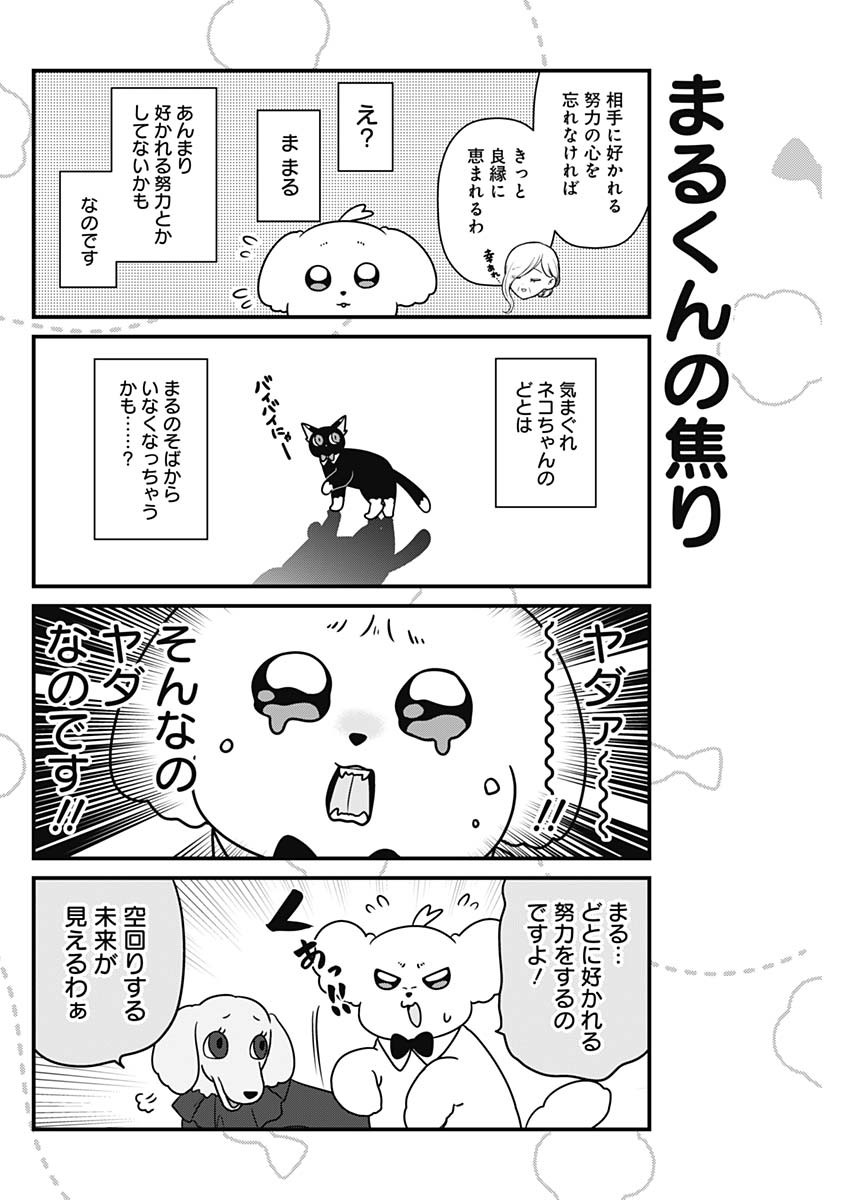 Maru-kun - Hataraku Maltese Chapter 54 6ページ