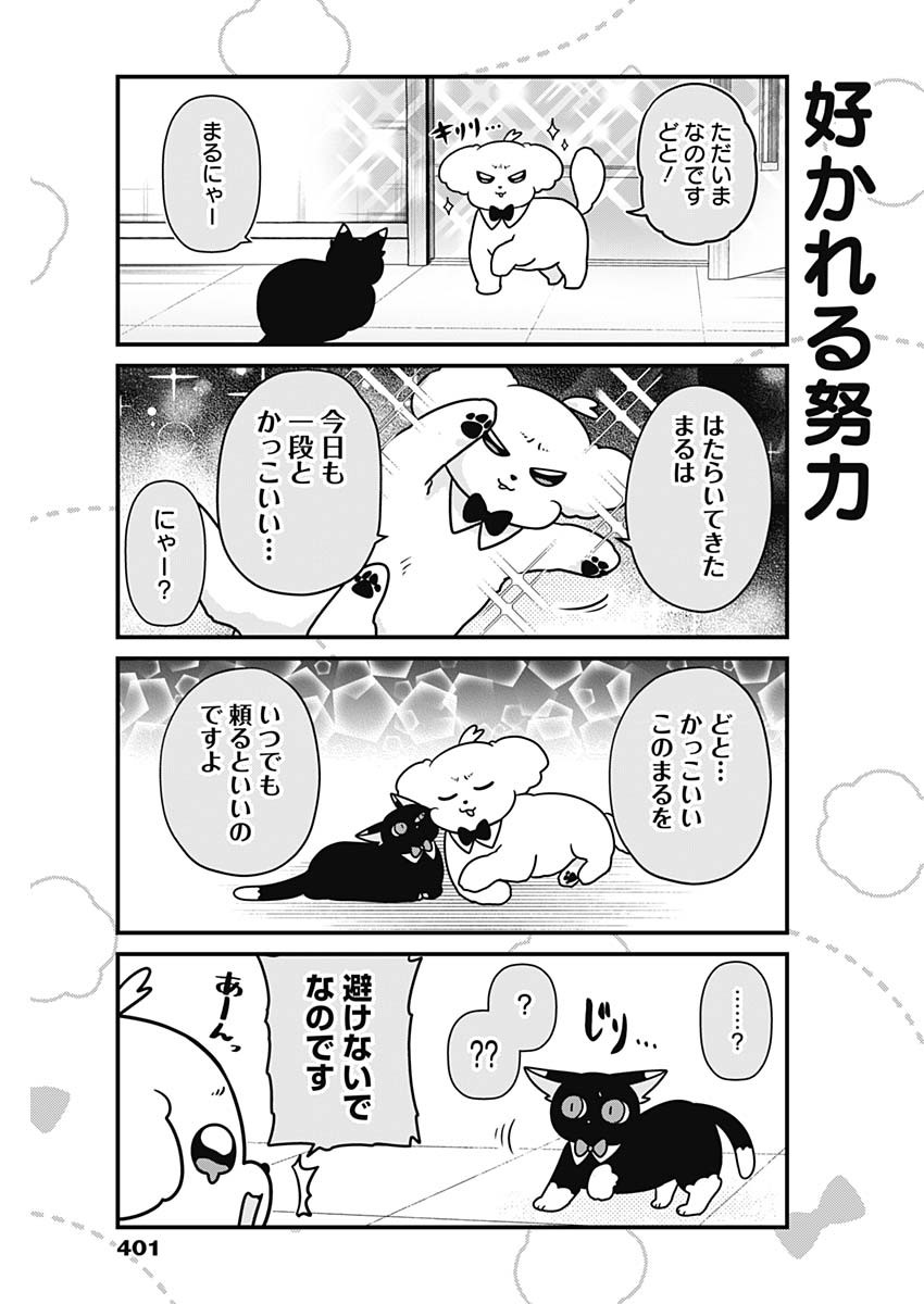 Maru-kun - Hataraku Maltese Chapter 54 7ページ